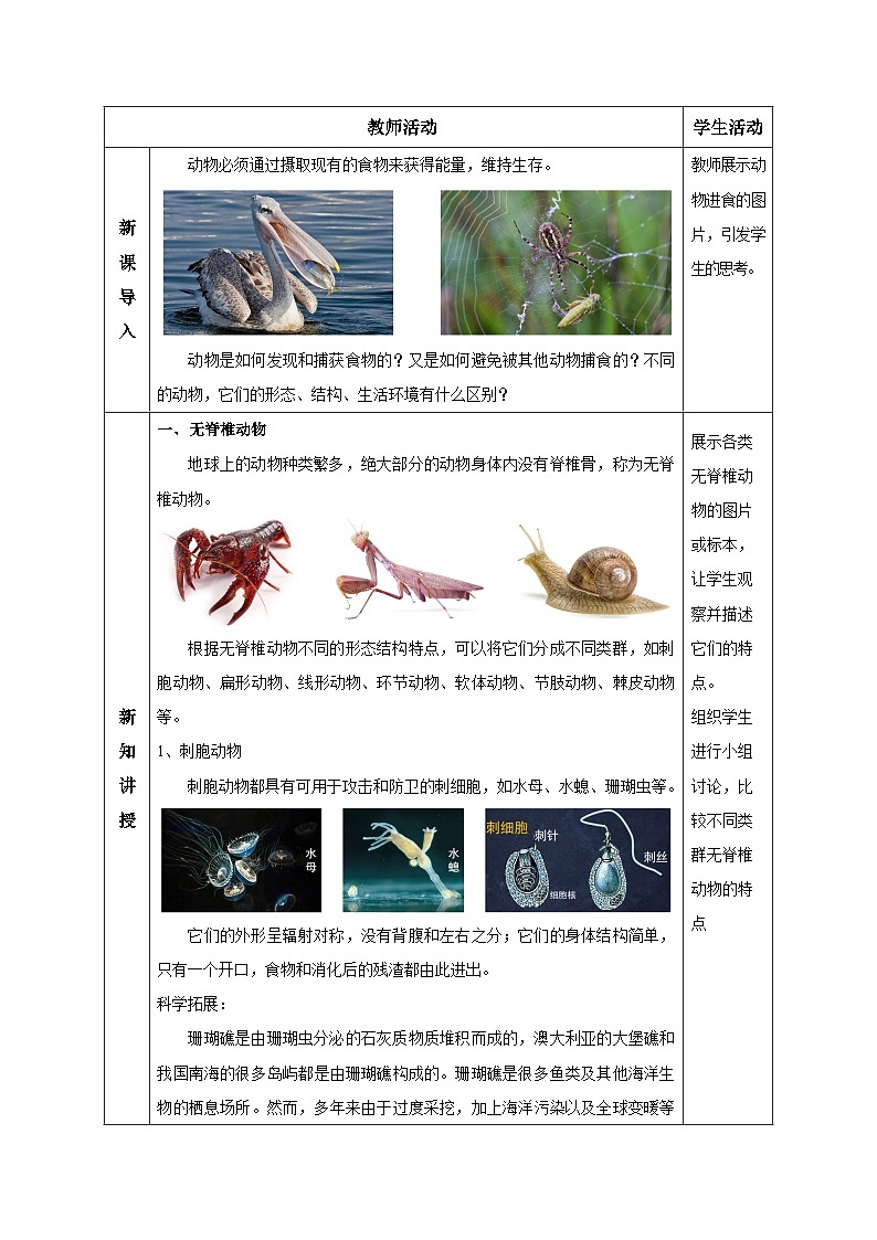 【核心素養(yǎng)】浙教版科學七年級上冊 2.3 多姿多彩的動物（第1課時）（教學設計）第2頁