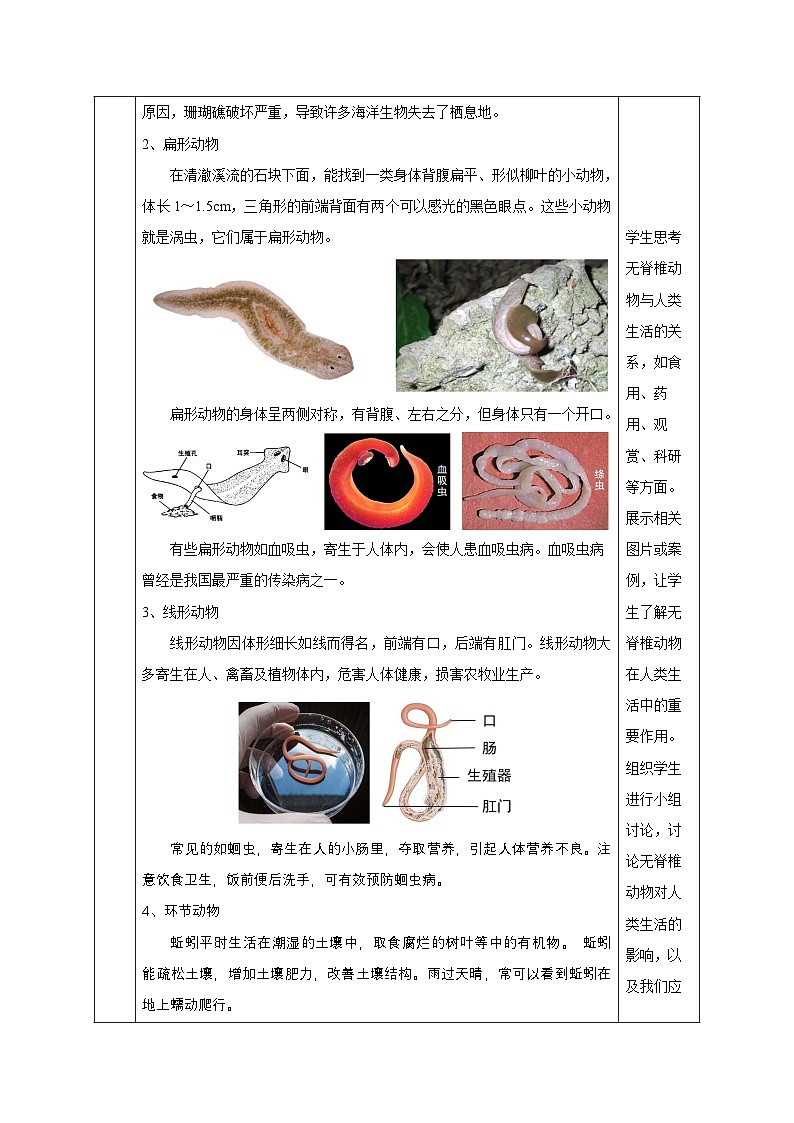 【核心素養(yǎng)】浙教版科學七年級上冊 2.3 多姿多彩的動物(第1課時)(教學設計)第3頁