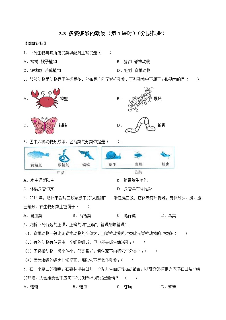 【核心素養(yǎng)】浙教版科學七年級上冊 2.3 多姿多彩的動物（第1課時）（分層作業(yè)）【原卷版】第1頁
