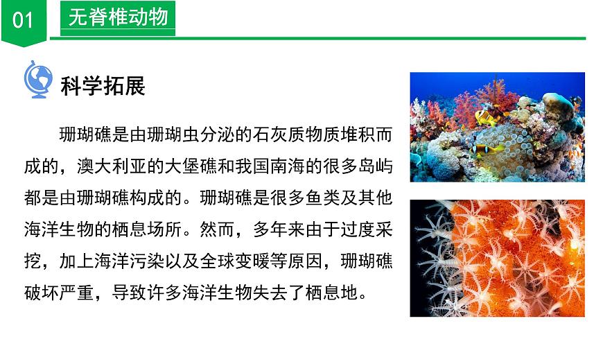 【核心素養(yǎng)】浙教版科學七年級上冊 2.3 多姿多彩的動物（第1課時）（教學課件）第8頁
