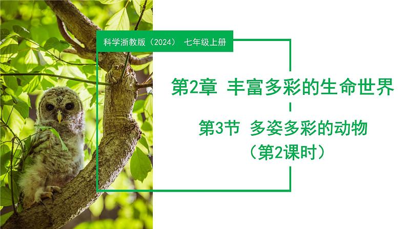 【核心素养】浙教版科学七年级上册 2.3 多姿多彩的动物(第2课时)(教学课件+教学设计+同步练习)01
