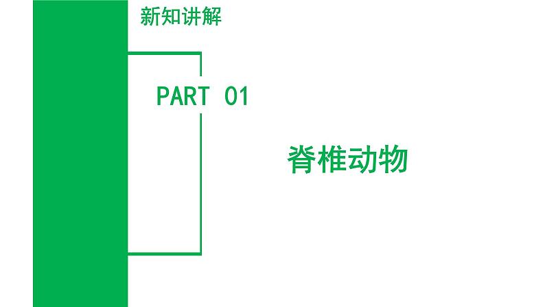 【核心素养】浙教版科学七年级上册 2.3 多姿多彩的动物(第2课时)(教学课件+教学设计+同步练习)05