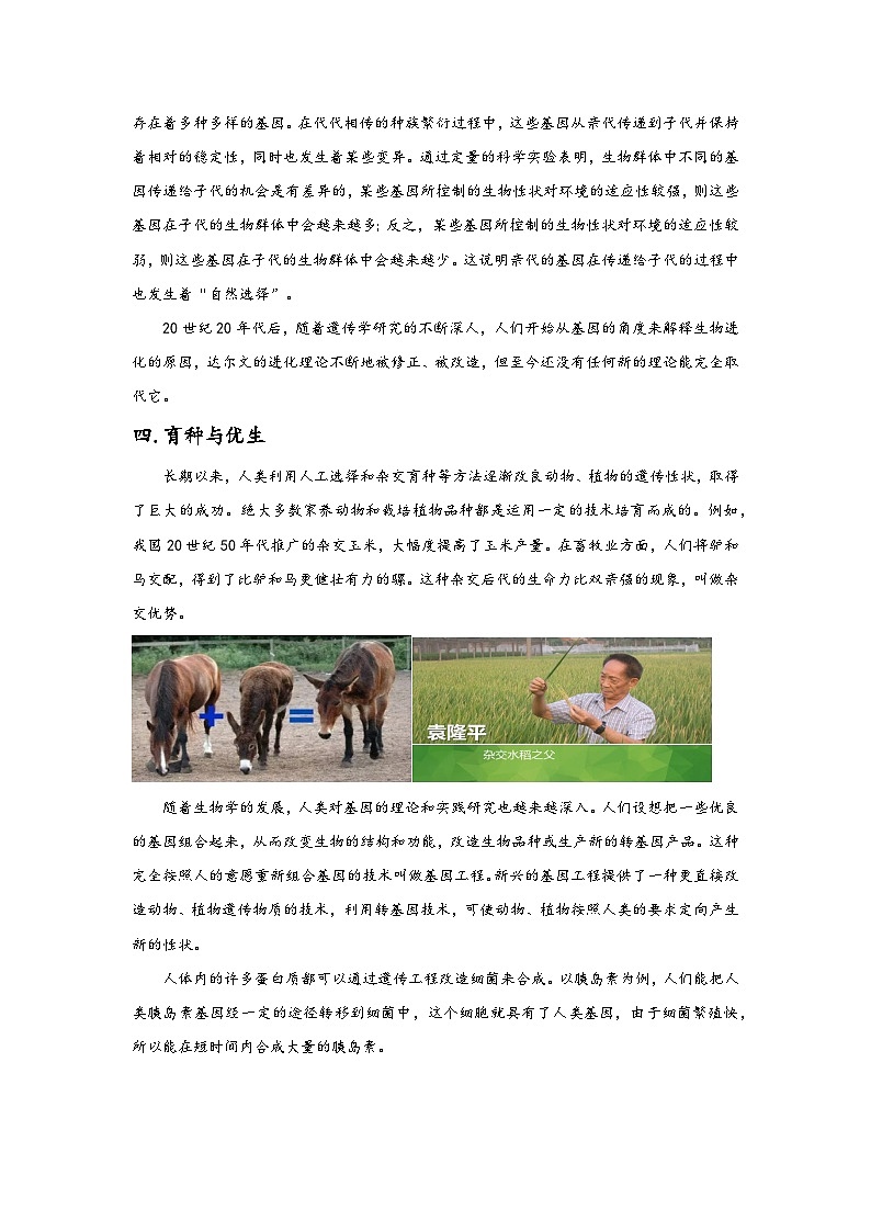 浙教版九年级下册科学讲练课堂1.5遗传与进化(讲义)(原卷版+解析)第3页
