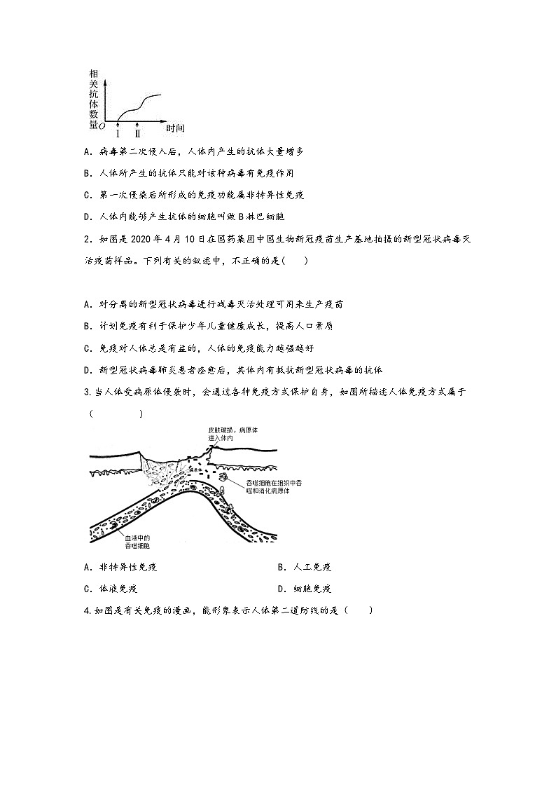 浙教版九年级下册科学讲练课堂3.3身体的防卫(讲义)(原卷版+解析)第3页