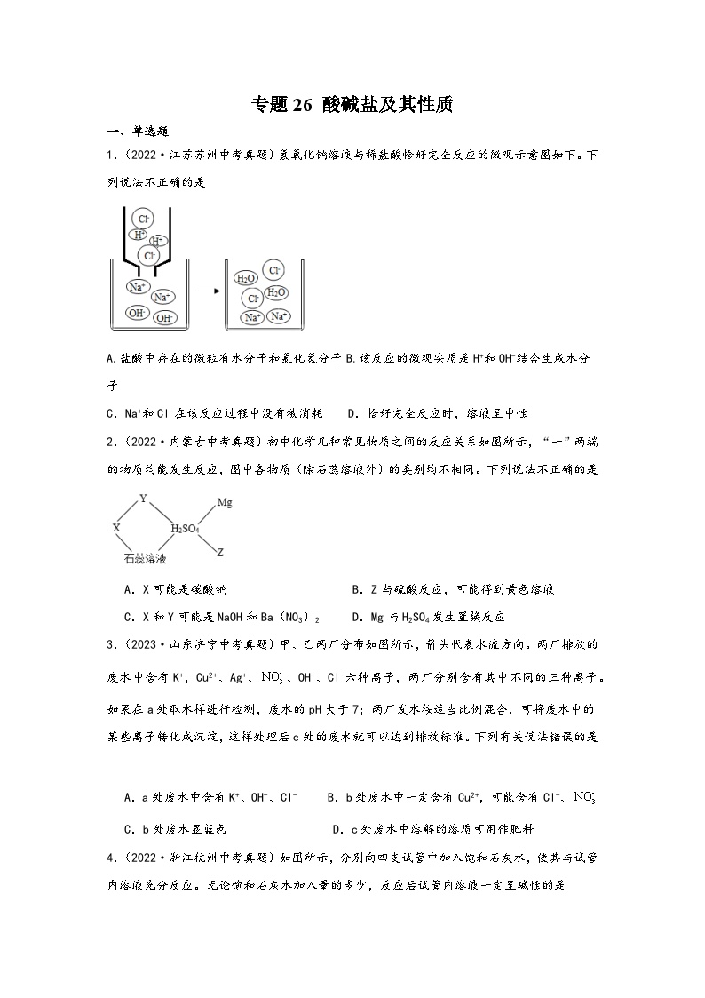 中考科学三年(2021-2023)真题分项汇编(浙江专用)专题26酸碱盐及其性质专题特训(原卷版+解析)