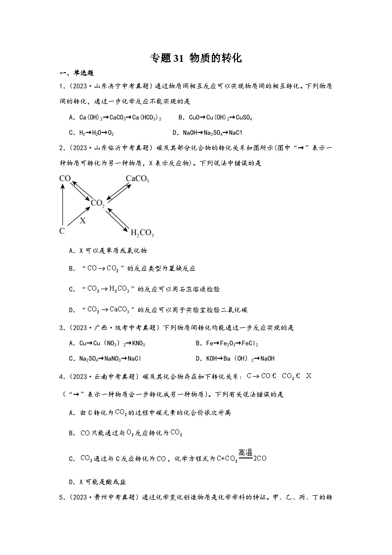 中考科学三年(2021-2023)真题分项汇编(浙江专用)专题31物质的转化专题特训(原卷版+解析)