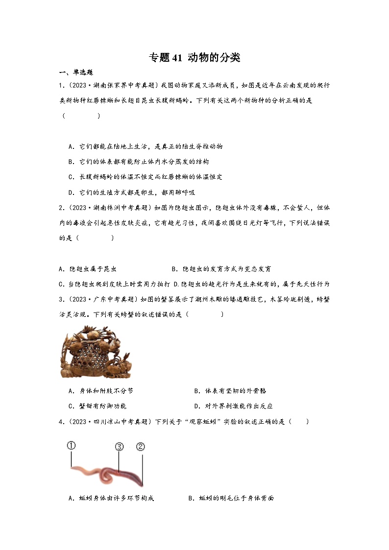 中考科学三年(2021-2023)真题分项汇编(浙江专用)专题41动物的分类专题特训(原卷版+解析)