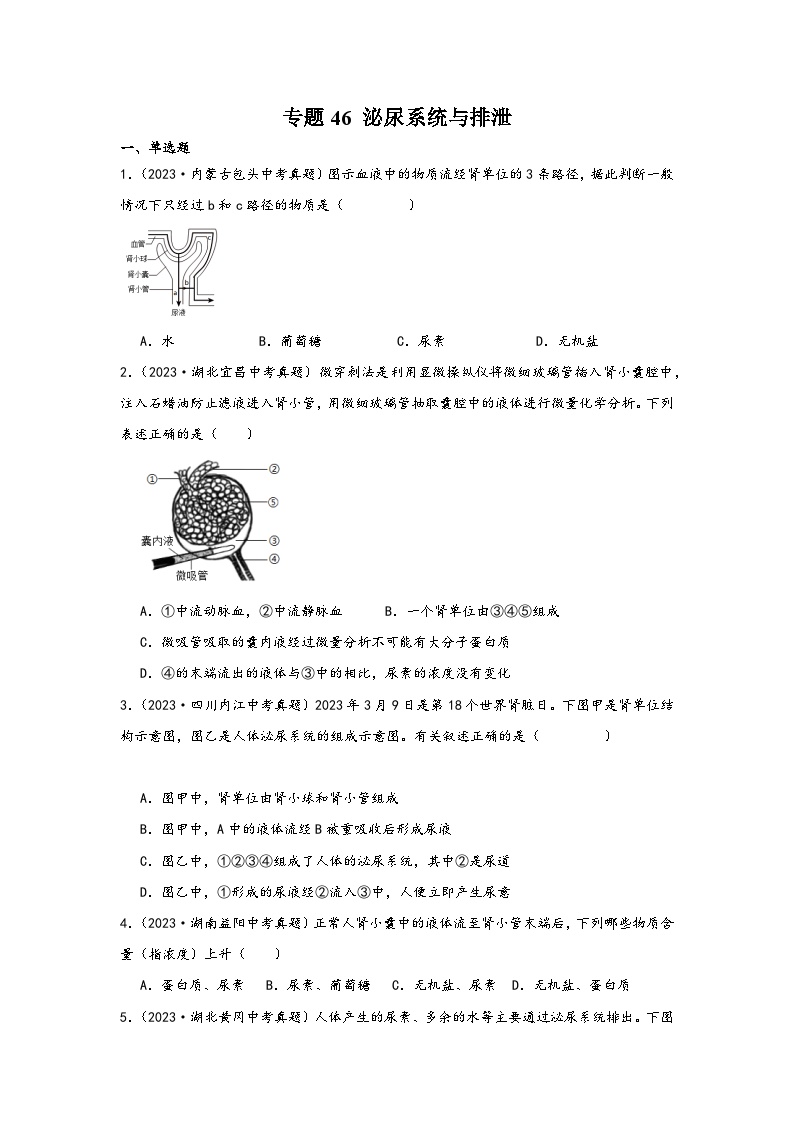 中考科学三年(2021-2023)真题分项汇编(浙江专用)专题46泌尿系统与排泄专题特训(原卷版+解析)