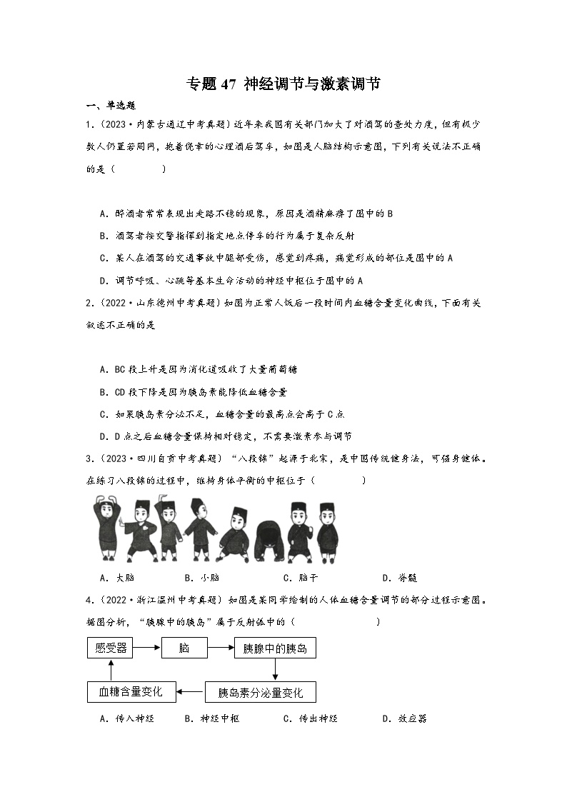 中考科学三年(2021-2023)真题分项汇编(浙江专用)专题47神经调节与激素调节专题特训(原卷版+解析)