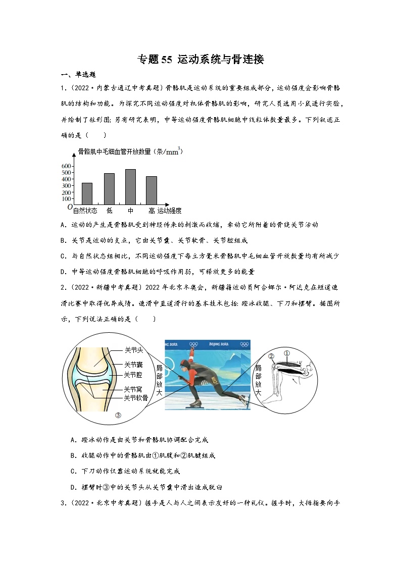 中考科学三年(2021-2023)真题分项汇编(浙江专用)专题55运动系统与骨连接专题特训(原卷版+解析)