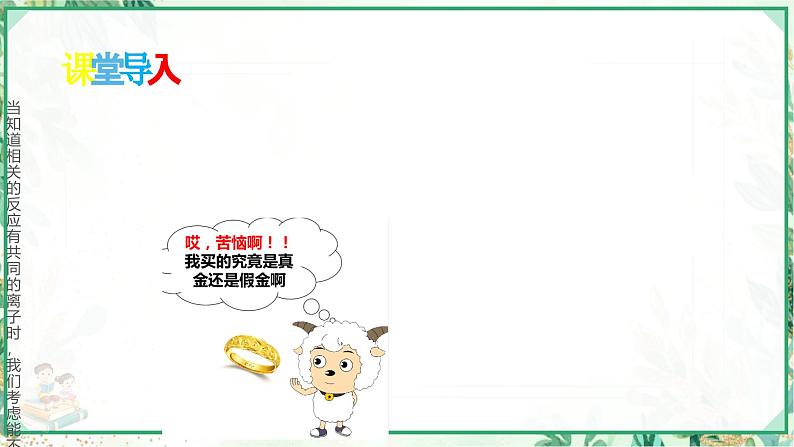 浙教版九年级科学上册同步精品课堂 专题2:离子检验与物质鉴定(课件)第2页