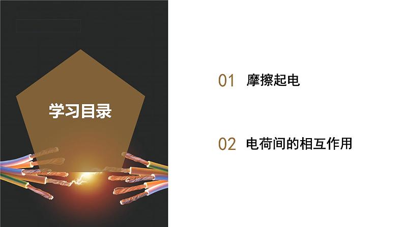 4.1 电荷与电流(第1课时)(教学课件)-八年级科学上册同步高效课堂(浙教版)第2页