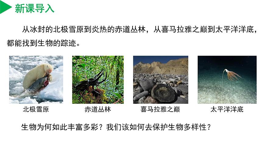2.5 生物多樣性(第1課時)(教學課件)-七年級科學上冊同步高效課堂(浙教版)第4頁