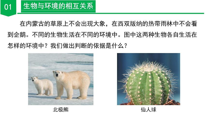 2.5 生物多樣性(第1課時)(教學課件)-七年級科學上冊同步高效課堂(浙教版)第6頁