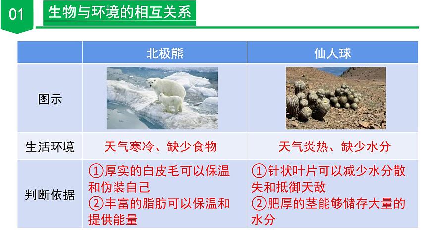 2.5 生物多樣性(第1課時)(教學課件)-七年級科學上冊同步高效課堂(浙教版)第7頁