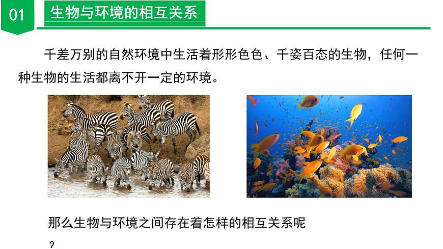 2.5 生物多樣性(第1課時)(教學課件)-七年級科學上冊同步高效課堂(浙教版)第8頁