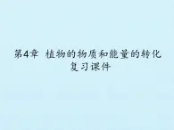 华师大版科学八年级上册第4章 植物的物质和能量的转化 复习课件