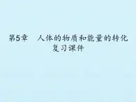 华师大版科学八年级上册第5章 人体的物质和能量的转化 复习课件