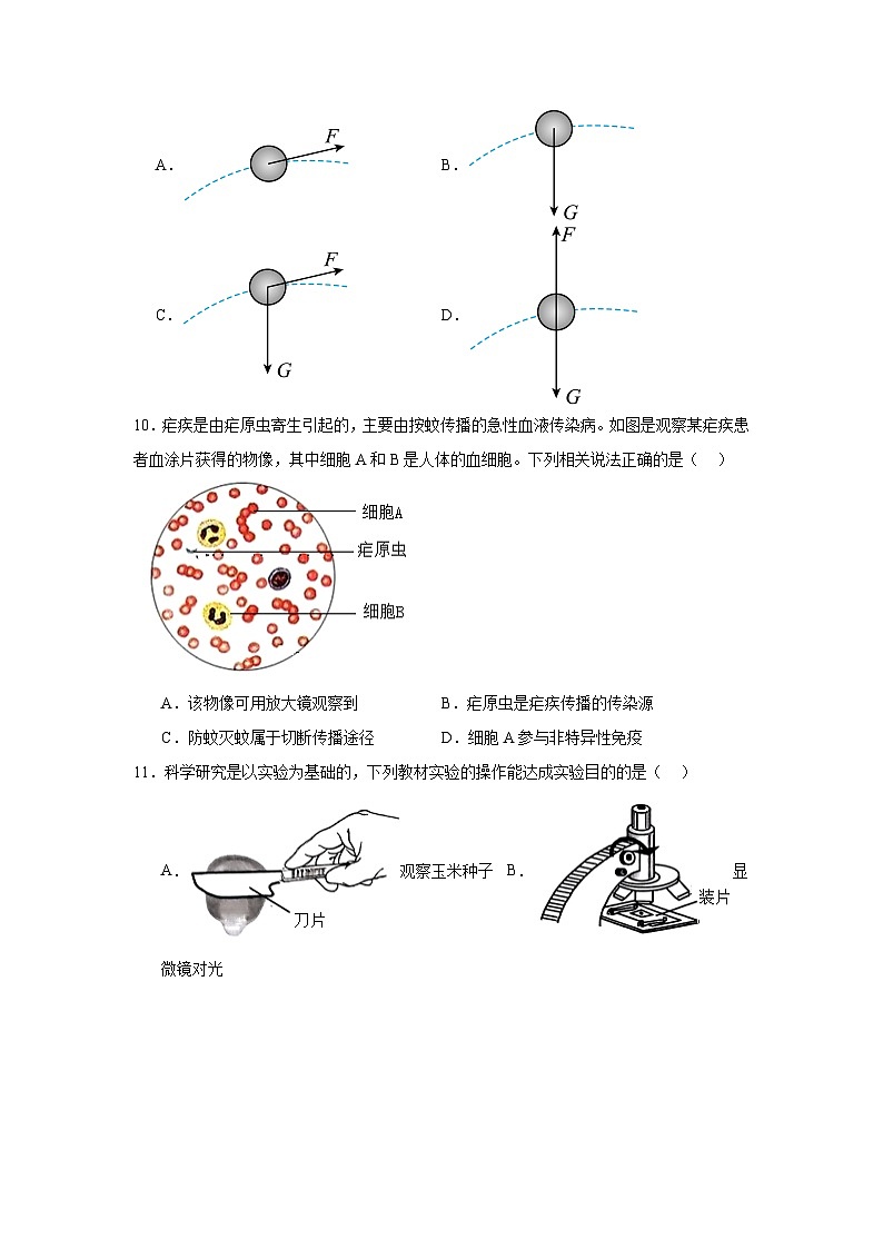 2024年浙江省嘉兴市平湖市九年级模拟预测科学试题第3页
