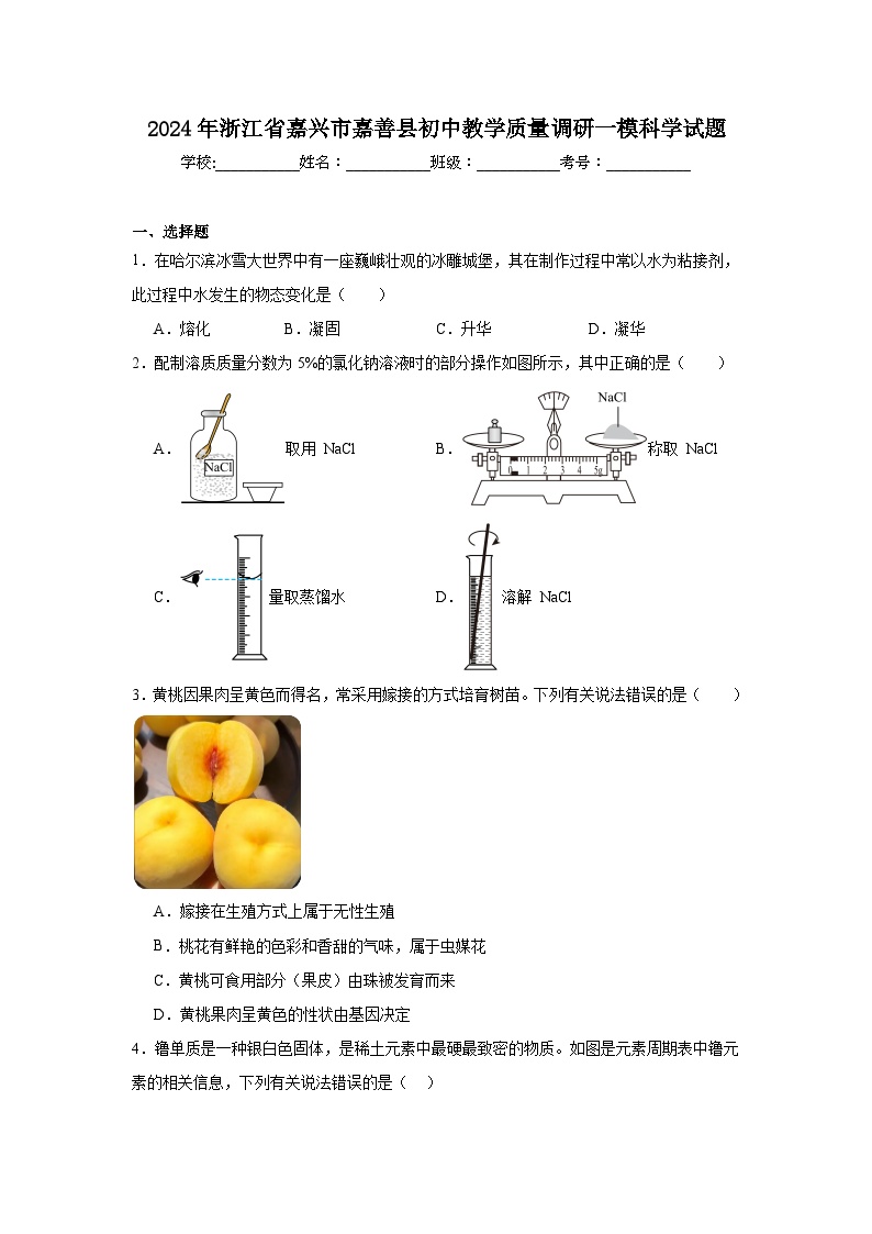 2024年浙江省嘉兴市嘉善县初中教学质量调研一模科学试题