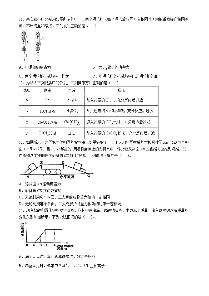 浙江省杭州市实验外国语学校2024-2025学年九年级上学期10月月考科学试题(无答案)第3页