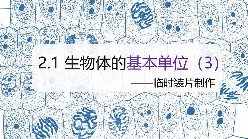 （浙教版2024）七年級上冊科學(xué)同步課件2-1生物體的基本單位（第3課時） 課件第1頁