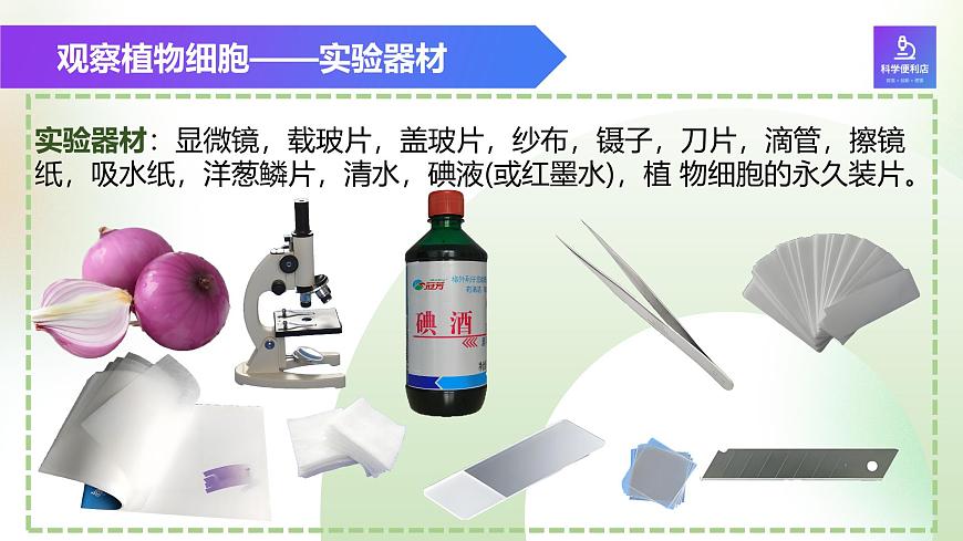 （浙教版2024）七年級上冊科學(xué)同步課件2-1生物體的基本單位（第3課時） 課件第3頁