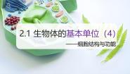 初中科学浙教版（2024）七年级上册第1节 生物与非生物说课课件ppt