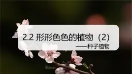 （浙教版2024）七年级上册科学同步课件2-2 形形色色的植物（第2课时） 课件