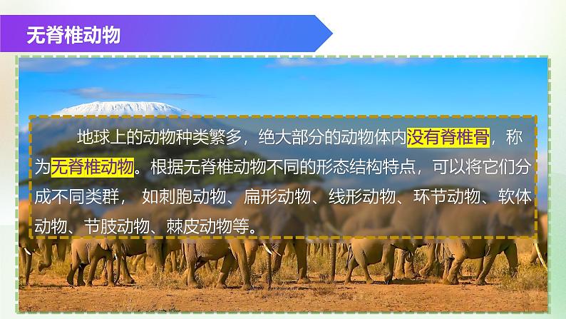 (浙教版2024)七年级上册科学同步课件2-3 多姿多彩的动物(第1课时)课件第2页