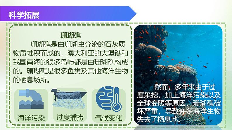 (浙教版2024)七年级上册科学同步课件2-3 多姿多彩的动物(第1课时)课件第4页