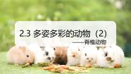 初中科学浙教版（2024）七年级上册第3节 生物体的结构层次背景图课件ppt