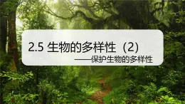 （浙教版2024）七年级上册科学同步课件2-5生物的多样性（第2课时） 课件