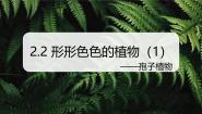 浙教版（2024）七年级上册第2节 细胞课前预习课件ppt