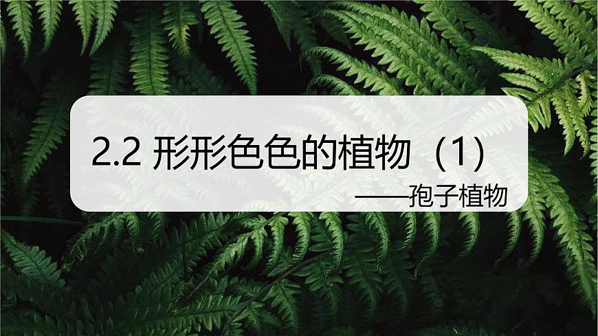 （浙教版2024）七年級(jí)上冊(cè)科學(xué)同步課件2.2 形形色色的植物（第1課時(shí)）課件第1頁(yè)
