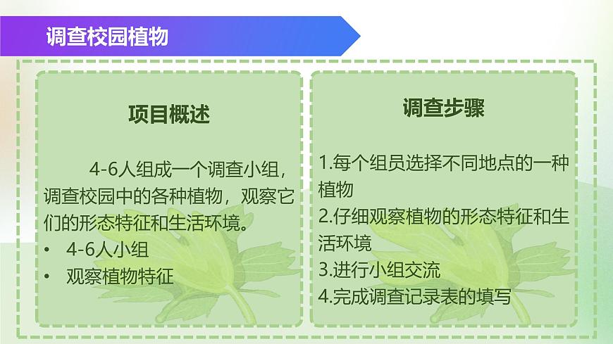 （浙教版2024）七年級(jí)上冊(cè)科學(xué)同步課件2.2 形形色色的植物（第1課時(shí)）課件第3頁(yè)