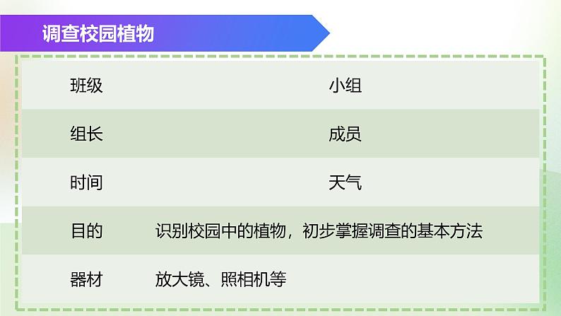 (浙教版2024)七年级上册科学同步课件2.2 形形色色的植物(第1课时)课件第5页