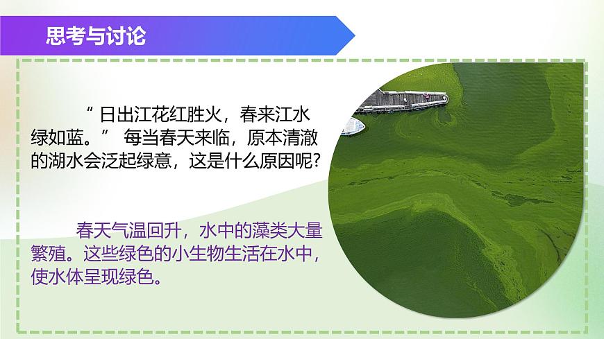 （浙教版2024）七年級(jí)上冊(cè)科學(xué)同步課件2.2 形形色色的植物（第1課時(shí)）課件第8頁(yè)