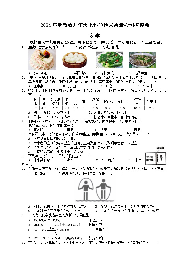 2024-2025学年浙教版九年级上册科学期末质量检测模拟金卷