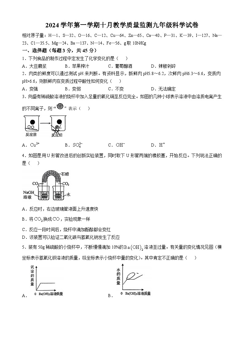 浙江省乐清市英华学校2024-2025学年九年级上学期10月月考科学卷(无答案)第1页