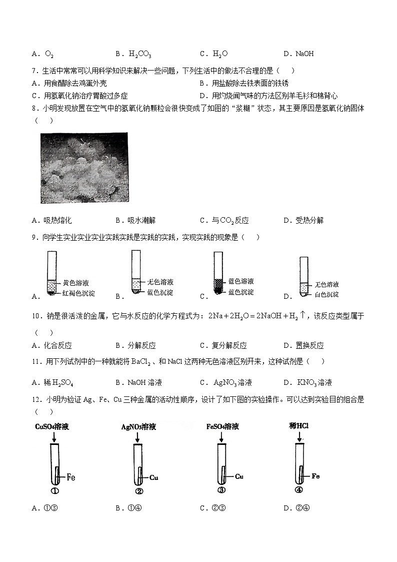 浙江省温州市第二中学2024-2025学年九年级上学期10月月考科学试题(无答案)第2页