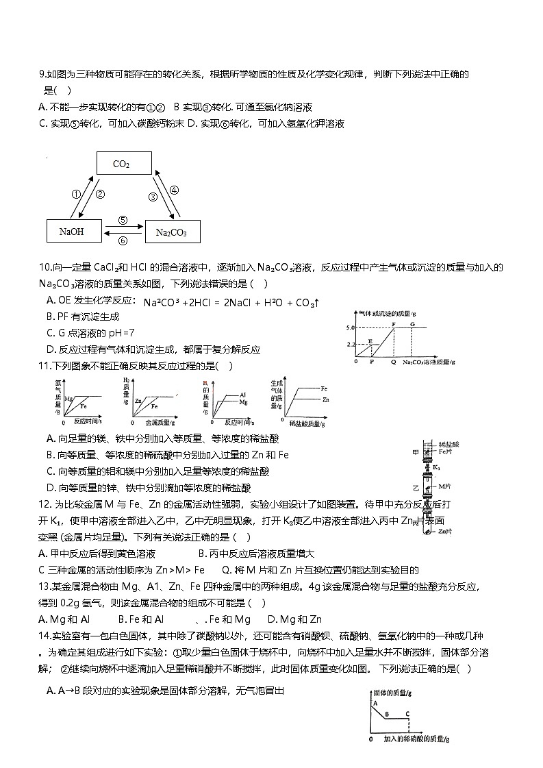 浙江省绍兴市越城区绍兴市元培中学2024-2025学年九年级上学期10月月考科学试题02