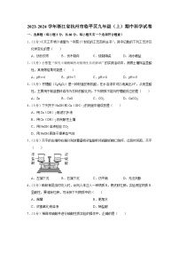 2023-2024学年浙江省杭州市临平区九年级（上）期中科学试卷