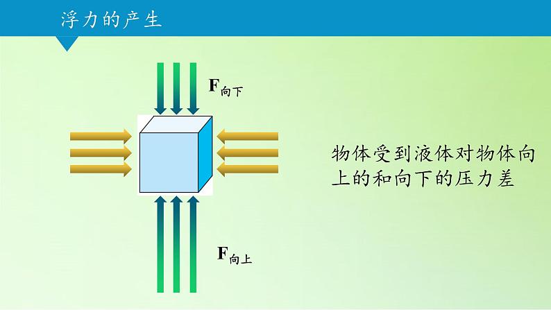 浙教版科学八年级上册1.3水的浮力课件第4页