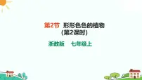 浙教版（2024）七年级上册（2024）第2节 形形色色的植物精品课件ppt