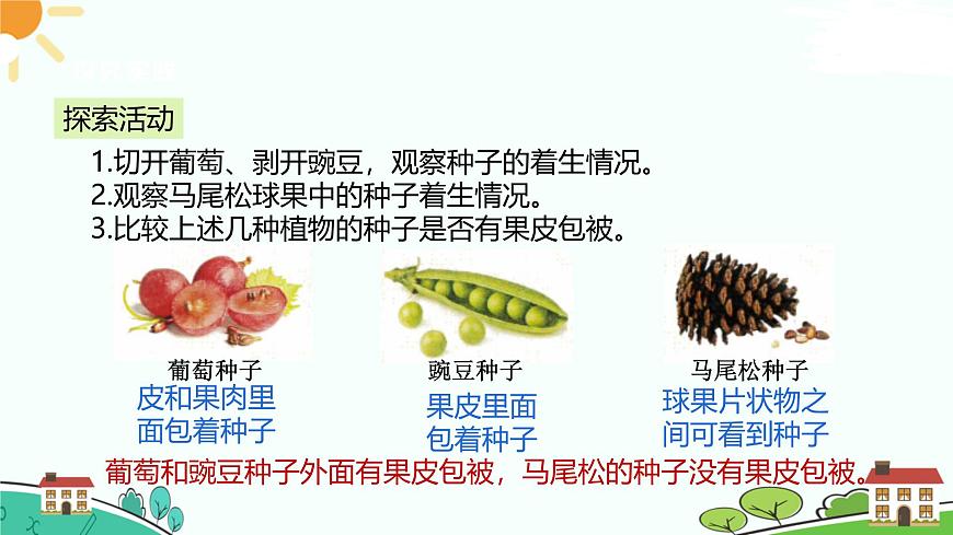 浙教版2024七年級上冊科學第2節(jié)  形形色色的植物（第2課時） 課件第3頁