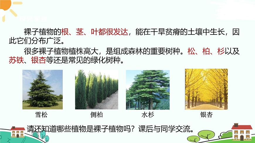 浙教版2024七年級上冊科學第2節(jié)  形形色色的植物（第2課時） 課件第7頁