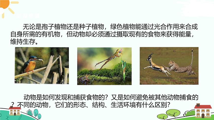 浙教版2024七年級(jí)上冊(cè)科學(xué)第3節(jié)  多姿多彩的動(dòng)物（第1課時(shí)）  課件第2頁(yè)