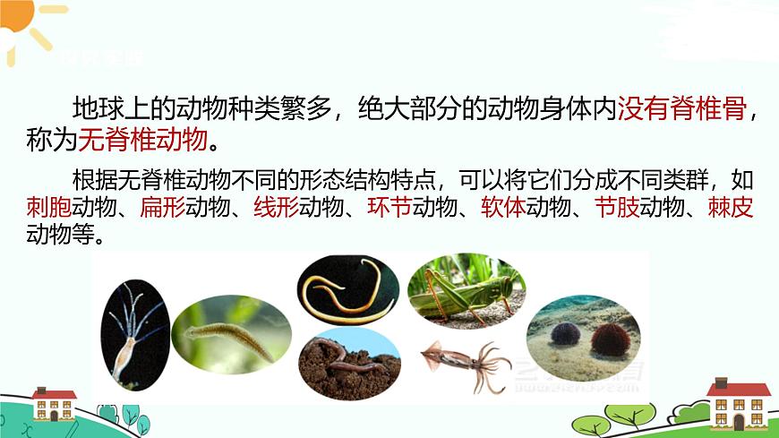 浙教版2024七年級(jí)上冊(cè)科學(xué)第3節(jié)  多姿多彩的動(dòng)物（第1課時(shí)）  課件第3頁(yè)