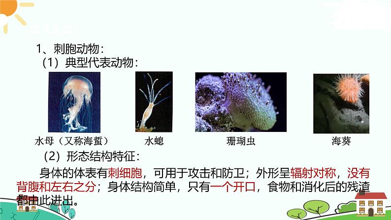 浙教版2024七年级上册科学第3节 多姿多彩的动物(第1课时) 课件04